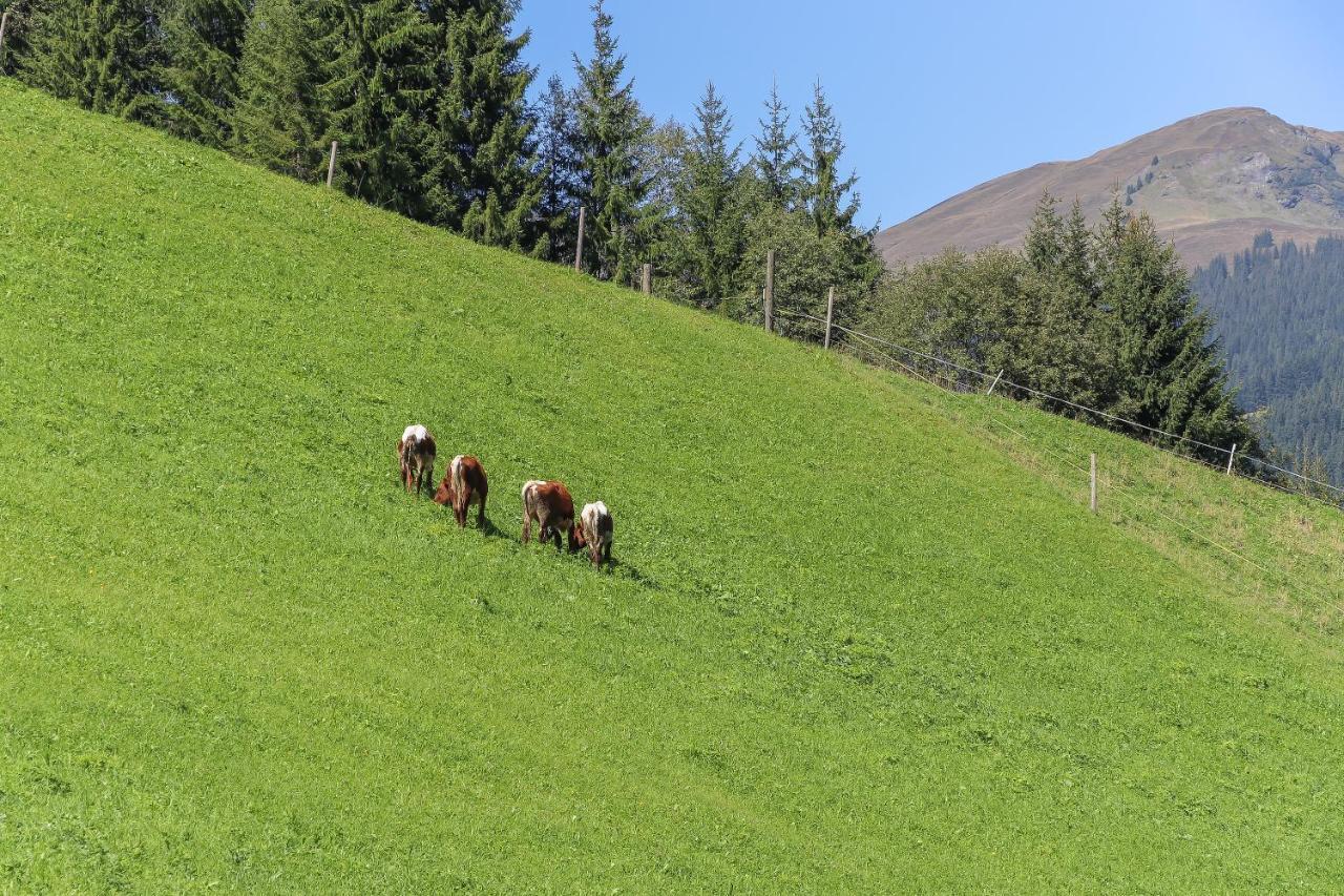 Landhaus Hinterglemm Appartement Saalbach-Hinterglemm Buitenkant foto